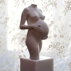 3D zwangerschapsbeeld van zwangere vrouw met twee handen op de buik